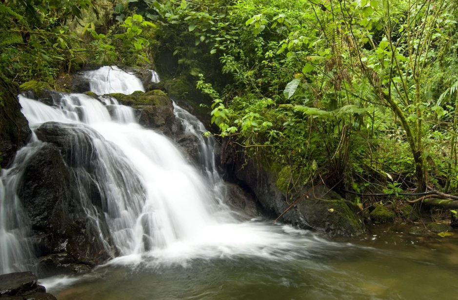 La Amistad International Park, Border with Costa Rica, Panama